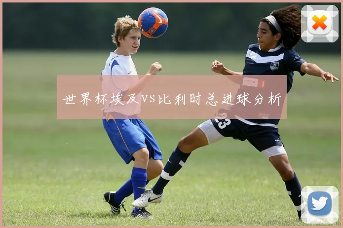 世界杯埃及vs比利时总进球分析
