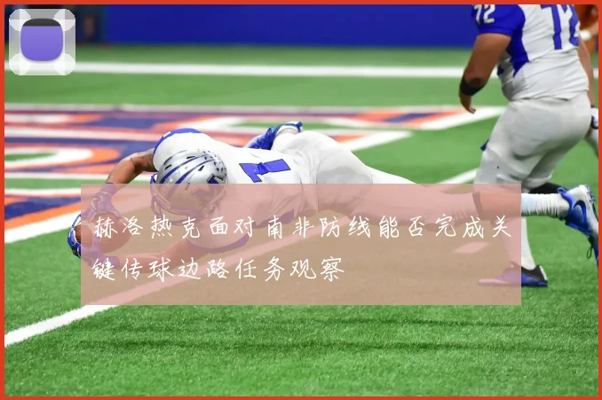 赫洛热克面对南非防线能否完成关键传球边路任务观察